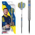 BULL'S David Pallett Steel Dart