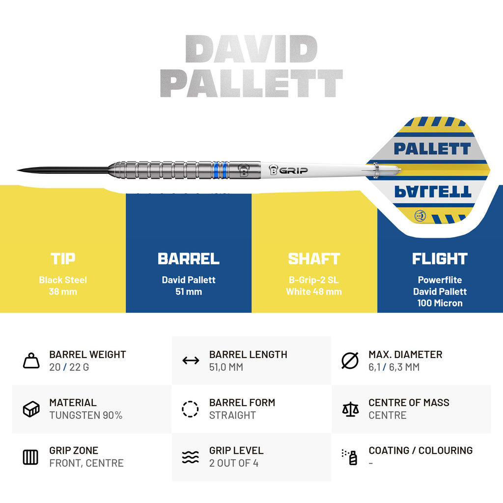 BULL'S David Pallett Steel Dart