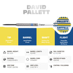 BULL'S David Pallett Steel Dart