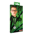 BULL'S Luc Peters Steel Dart