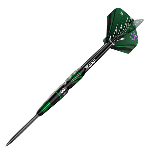 BULL'S Brian Raman G2 Steel Dart