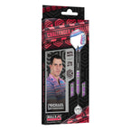 BULL'S Challenger Softdart Michael Unterbuchner